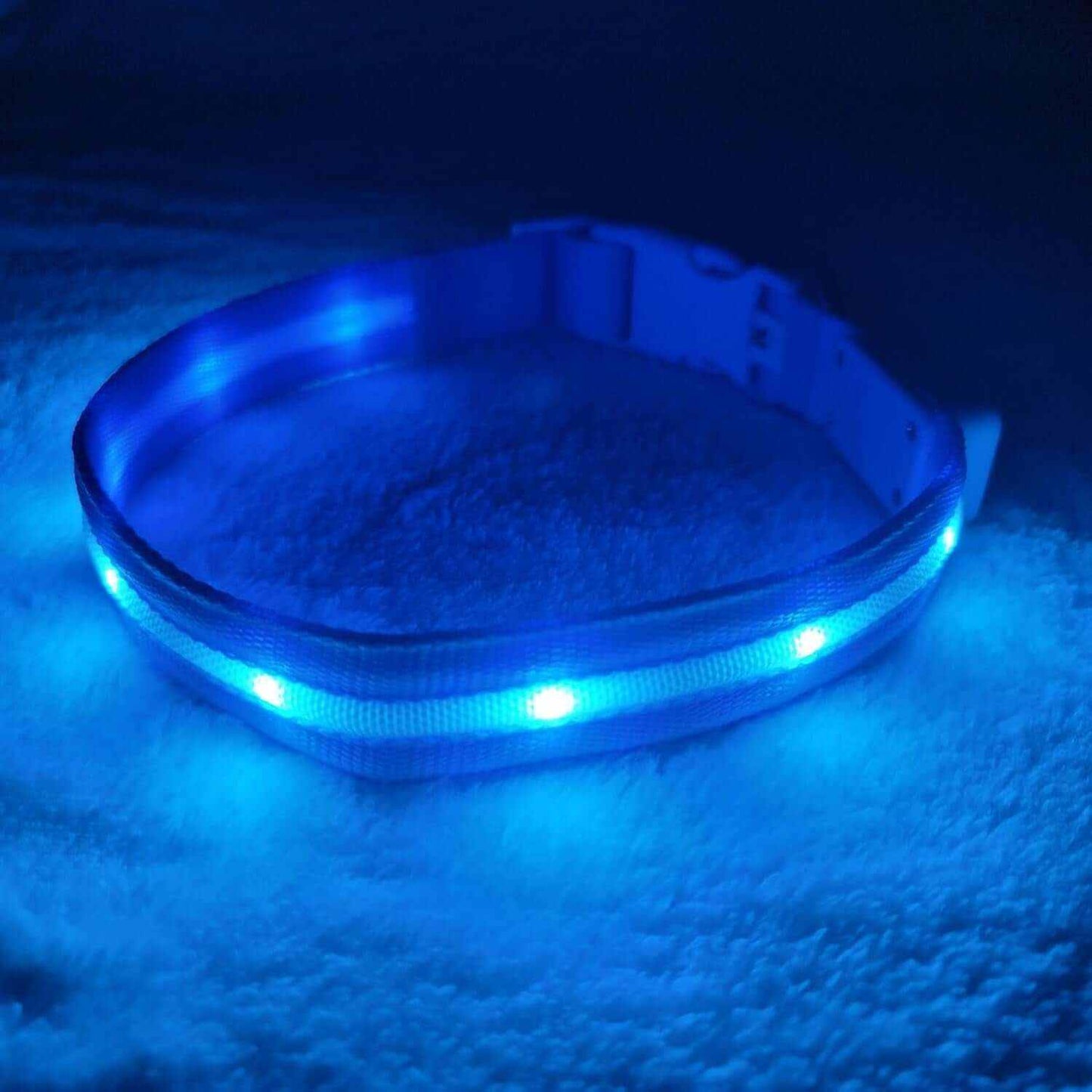 Brightest Original LED Light up Dog Collars - 1,000 Feet of Visibility