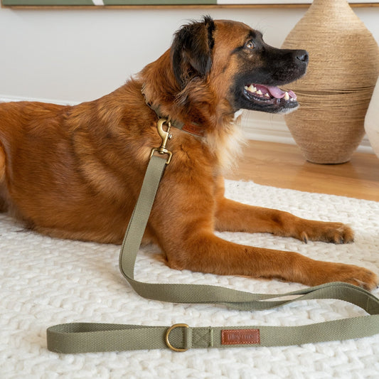 Hemp Cotton Dog Collar - Durable, Sustainable, Adjustable, Lightweight & Soft