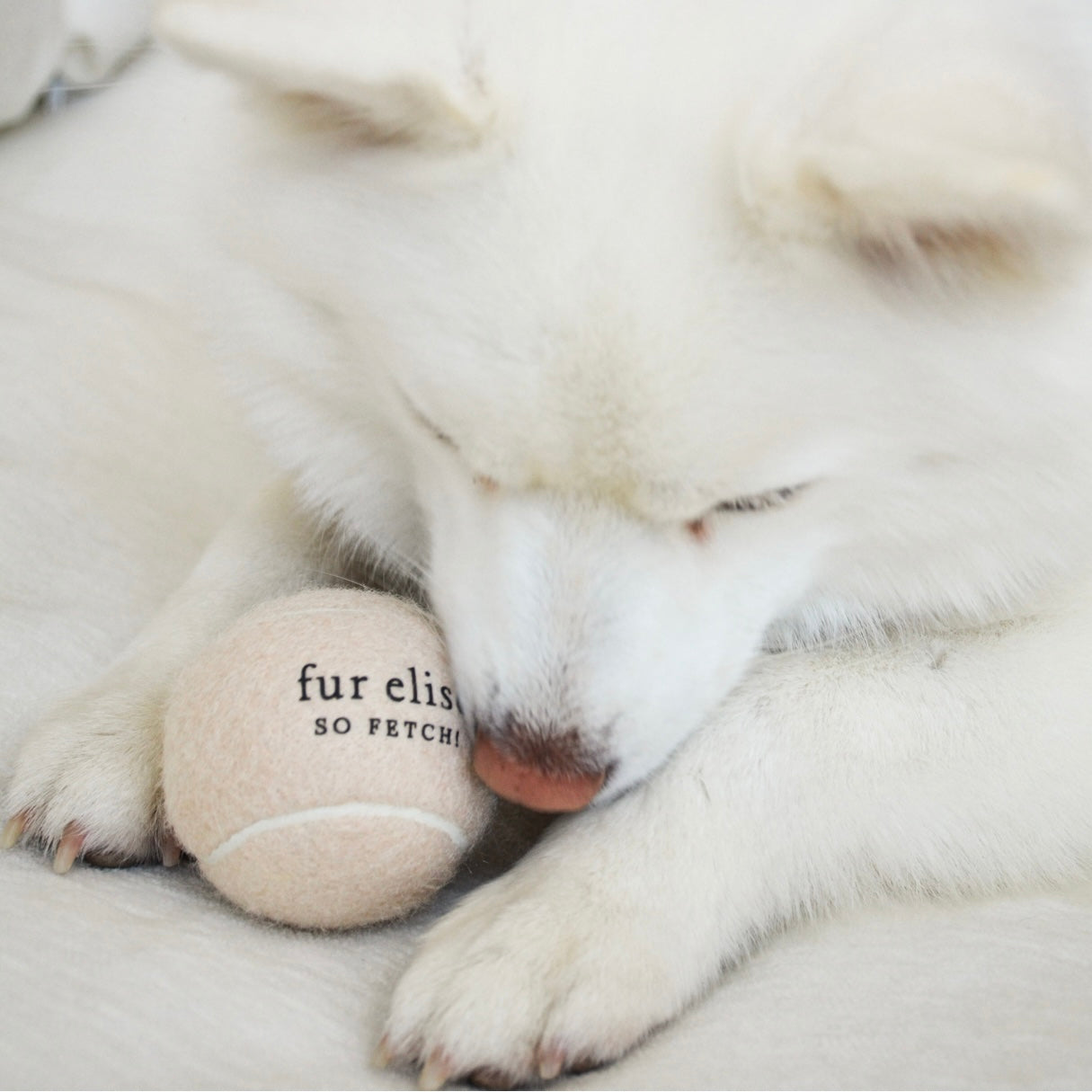 So Fetch! Tennis Ball - Noire