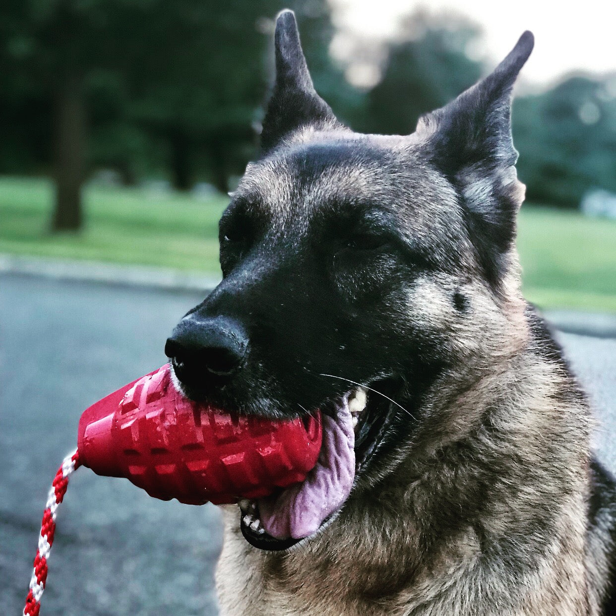 USA-K9 Grenade Shaped Durable Rubber Chew Toy, Treat Dispenser, Reward Toy, Tug Toy, and Retrieving Toy