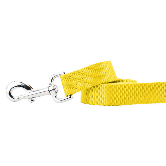 Yellow Nylon Dog Leash