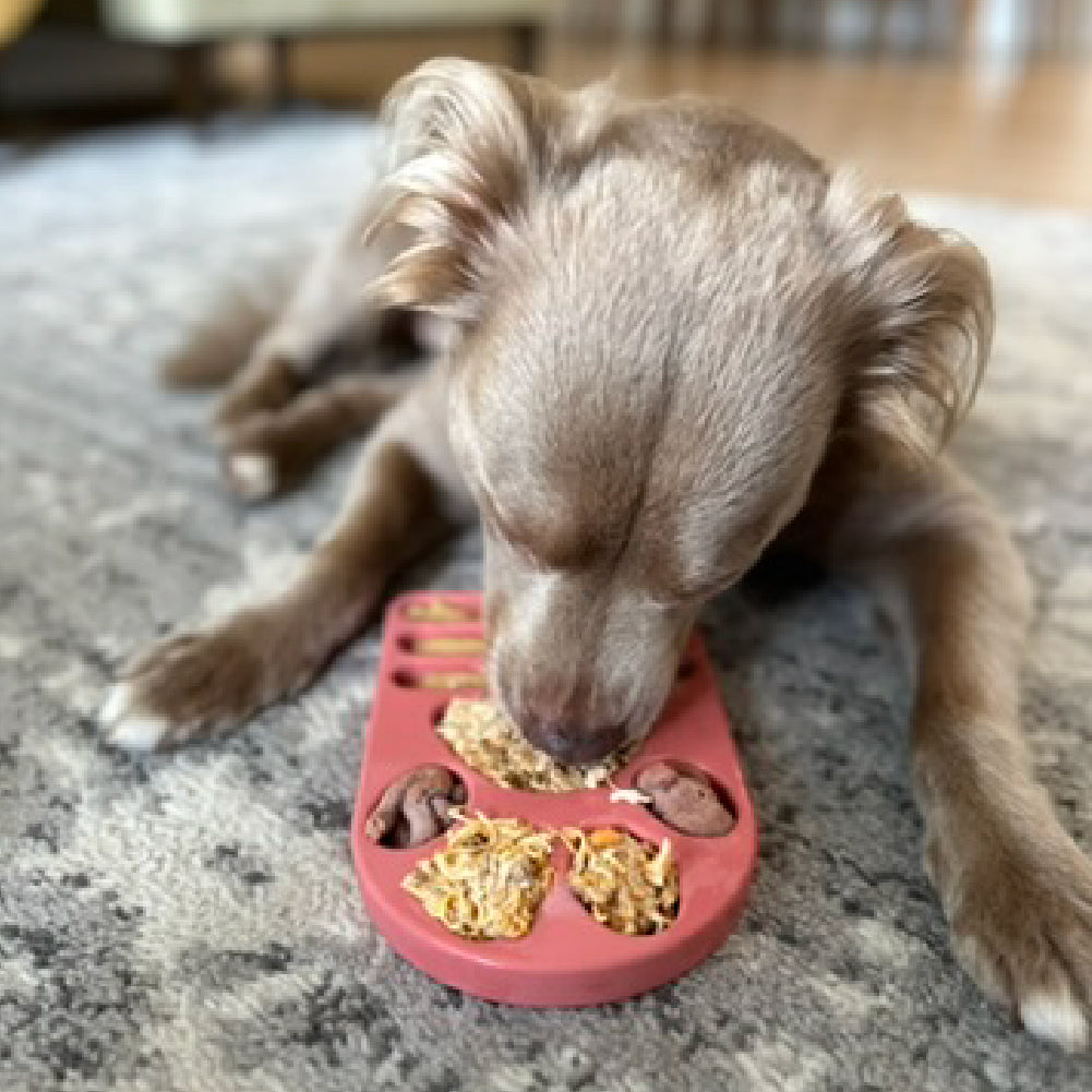 FreezPaw Mat - Calming Slow Feeder