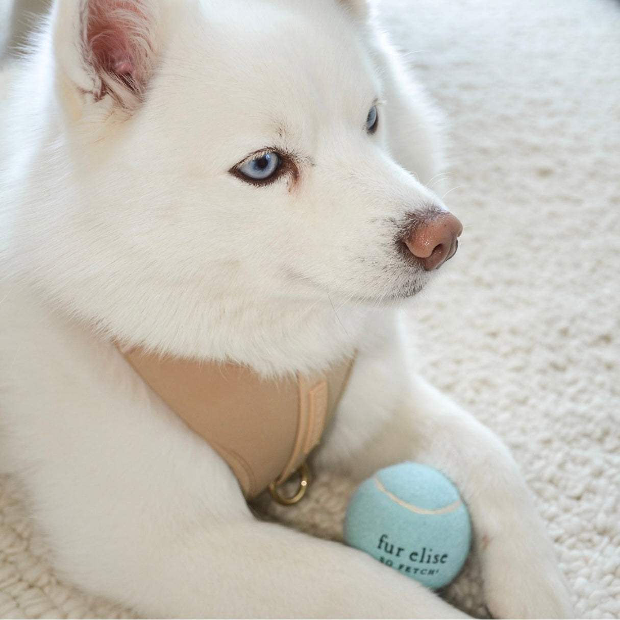 So Fetch! Tennis Ball - Cloud