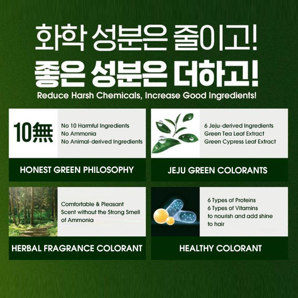 RICHENNA EZ Speedy Shampoo-Like Hair Color - Green Edition