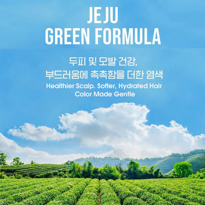 RICHENNA EZ Speedy Shampoo Hair Color - Green Edition