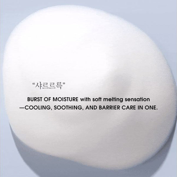 C. SOLUTION Hyaluron Cica Soothing Bubble Toner