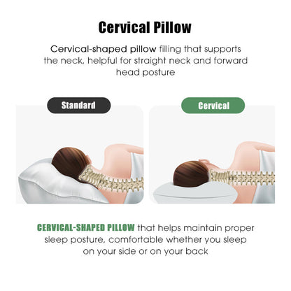 Premium Phytoncide Cervical Support Pillow