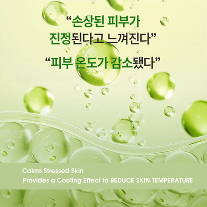 C. SOLUTION Hyaluron Cica Soothing Bubble Toner