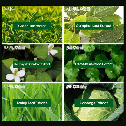 RICHENNA EZ Speedy Shampoo Hair Color - Green Edition