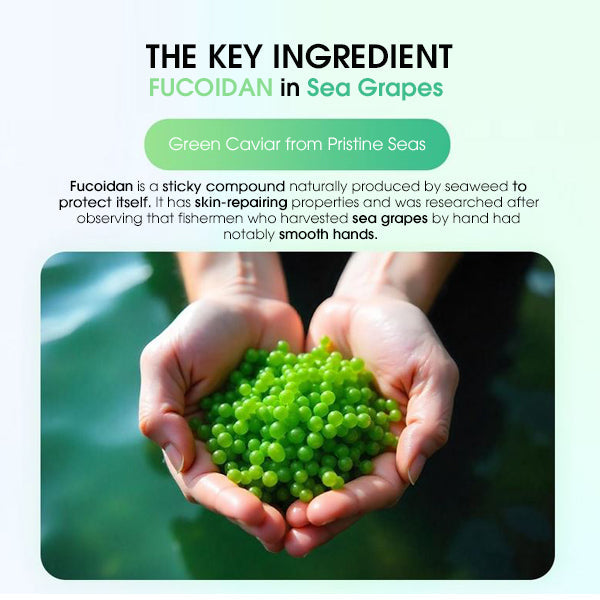 LaMuCell SeaGrape Pore Ampoule