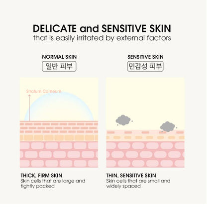 WOODIV Double Balancing Vegan Cream