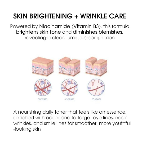 HEALSEED Aqua Balancing Syrup Toner