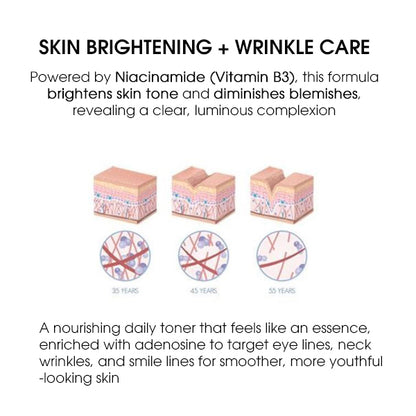 HEALSEED Aqua Balancing Syrup Toner