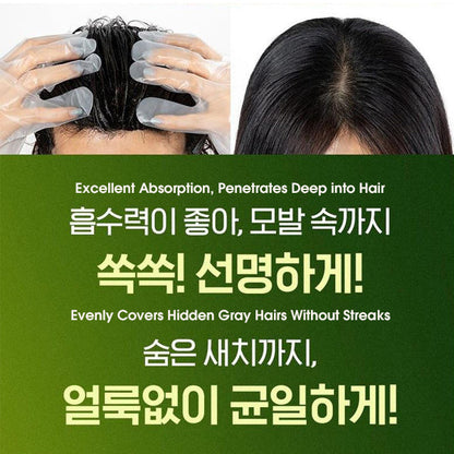 RICHENNA EZ Speedy Shampoo Hair Color - Green Edition