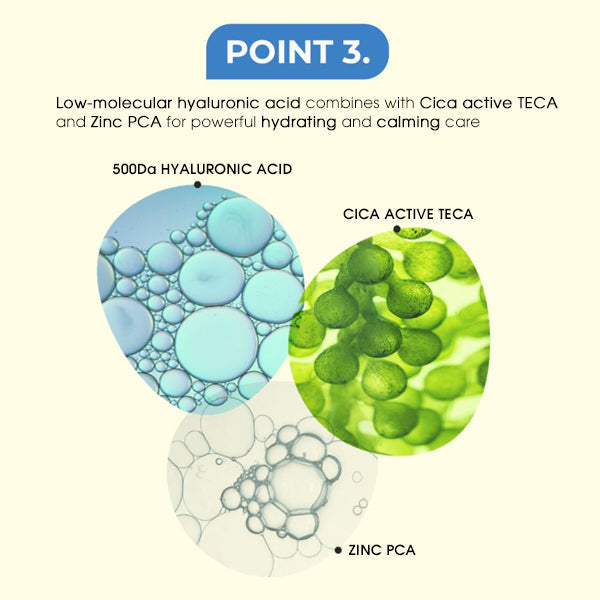 C. SOLUTION Hyaluron Cica Soothing Bubble Toner