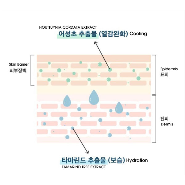 WOODIV Double Balancing Vegan Cream