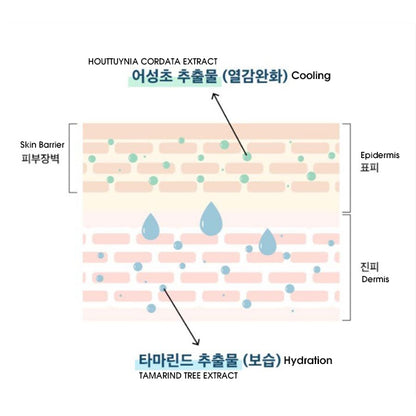 WOODIV Double Balancing Vegan Cream