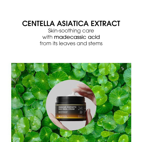 Dr. MYSKIN Prebiome Energetic Gold Snail Cream