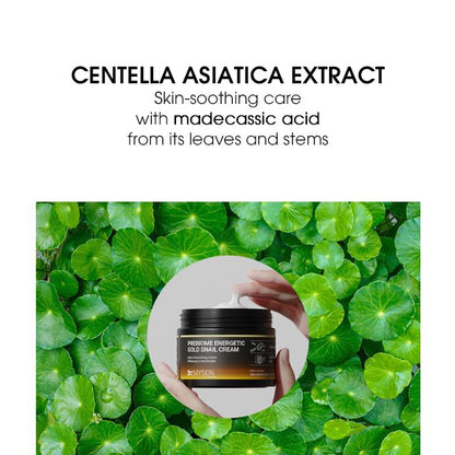 Dr. MYSKIN Prebiome Energetic Gold Snail Cream