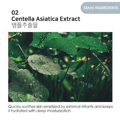 MACKLIN Premium Peptide Volume Essence