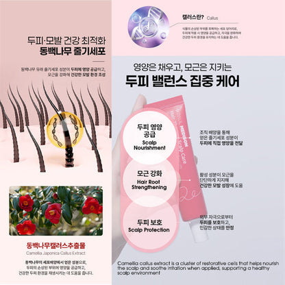 Paul Medison Hair Therapy Serum with Scalp Care Stem Cell Panthenol