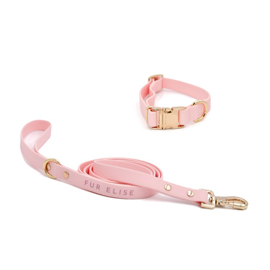 Elise Collar & Leash Set - Rose