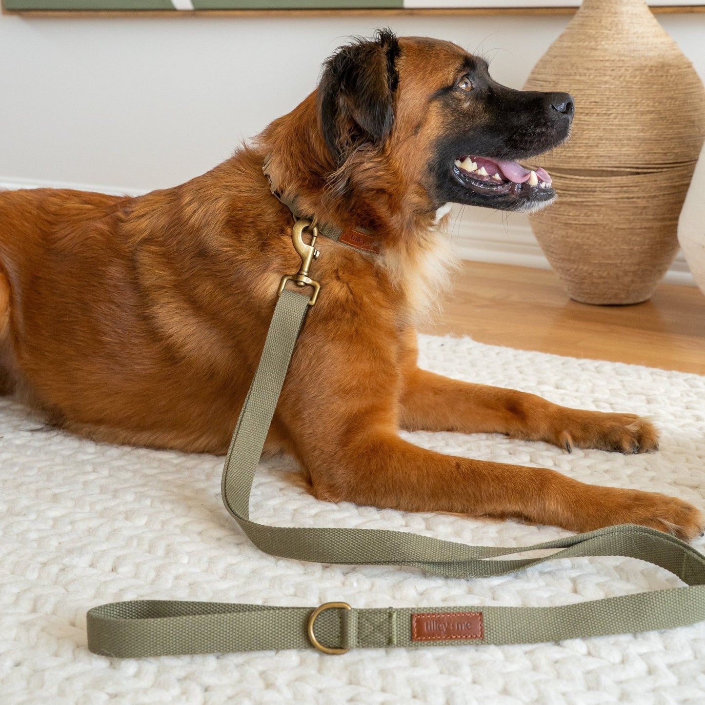 Hemp Cotton Dog Leash - Durable, Sustainable, Adjustable, Lightweight & Soft