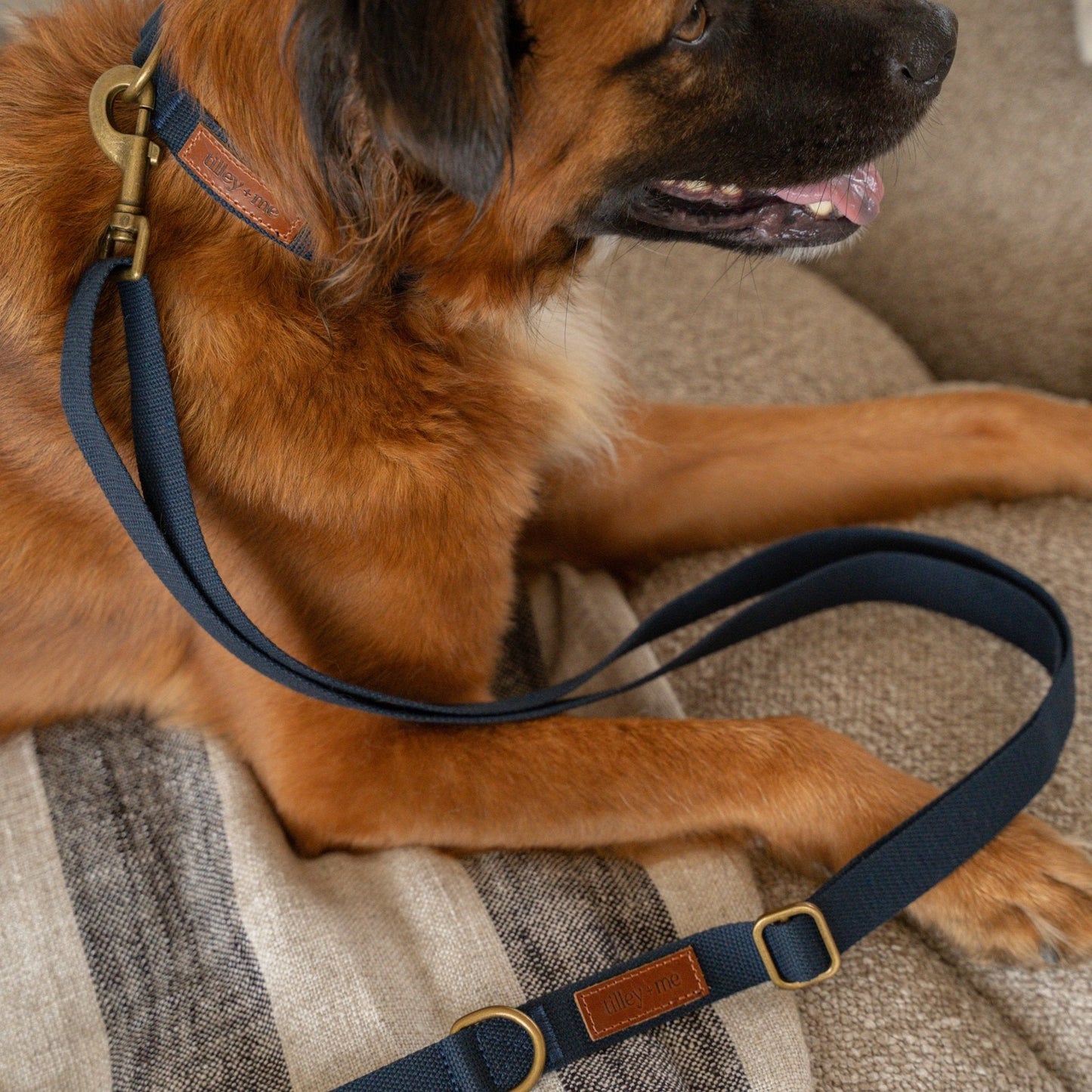 Hemp Cotton Dog Collar - Durable, Sustainable, Adjustable, Lightweight & Soft
