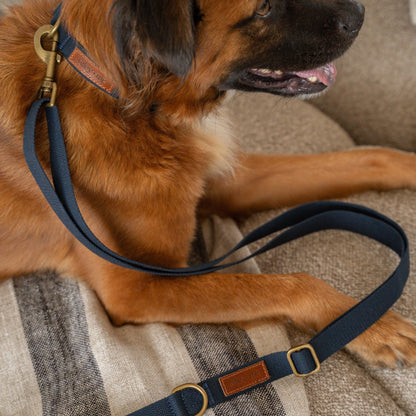 Hemp Cotton Dog Collar - Durable, Sustainable, Adjustable, Lightweight & Soft