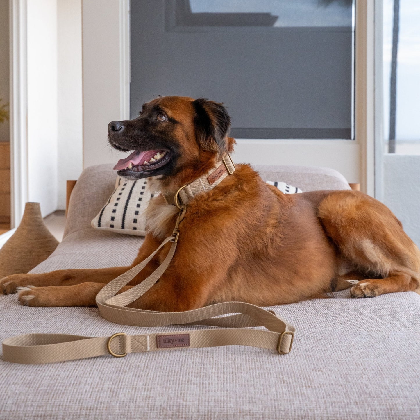 Hemp Cotton Dog Collar - Durable, Sustainable, Adjustable, Lightweight & Soft