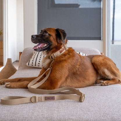 Hemp Cotton Dog Leash - Durable, Sustainable, Adjustable, Lightweight & Soft