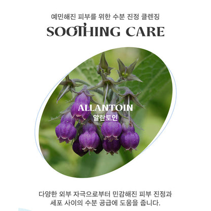 PAUL MEDISON Waterful Foam Cleanser