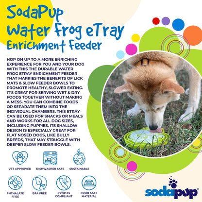 Water Frog eTray - Shallow Slow Feeder Dog Bowl for Enrichment | USA Made
