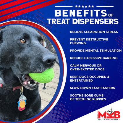 Dinosaur Egg Dog Chew Toy & Treat Dispenser - USA Made | SodaPup