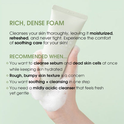 SISTERLY Green Vegan Spread Cleanser for Natural Freshness