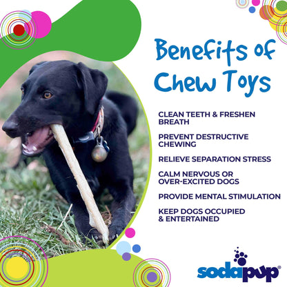 Durable Nylon Chew Stick for Power Chewers | Indestructible Dog Toy USA