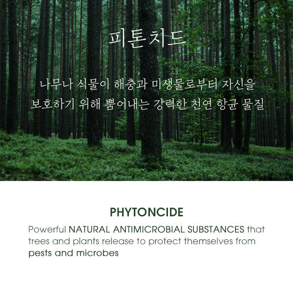 Premium Phytoncide Cervical Support Pillow