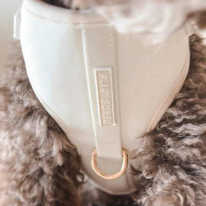 The Ultimate Walk Set - Bone