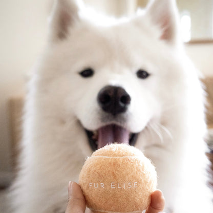 Classic Tennis Ball - Sand