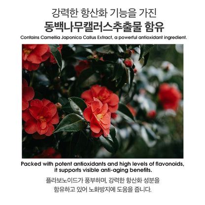 Paul Medison Eye Cream - Camellia Stem Cell EXO Protect