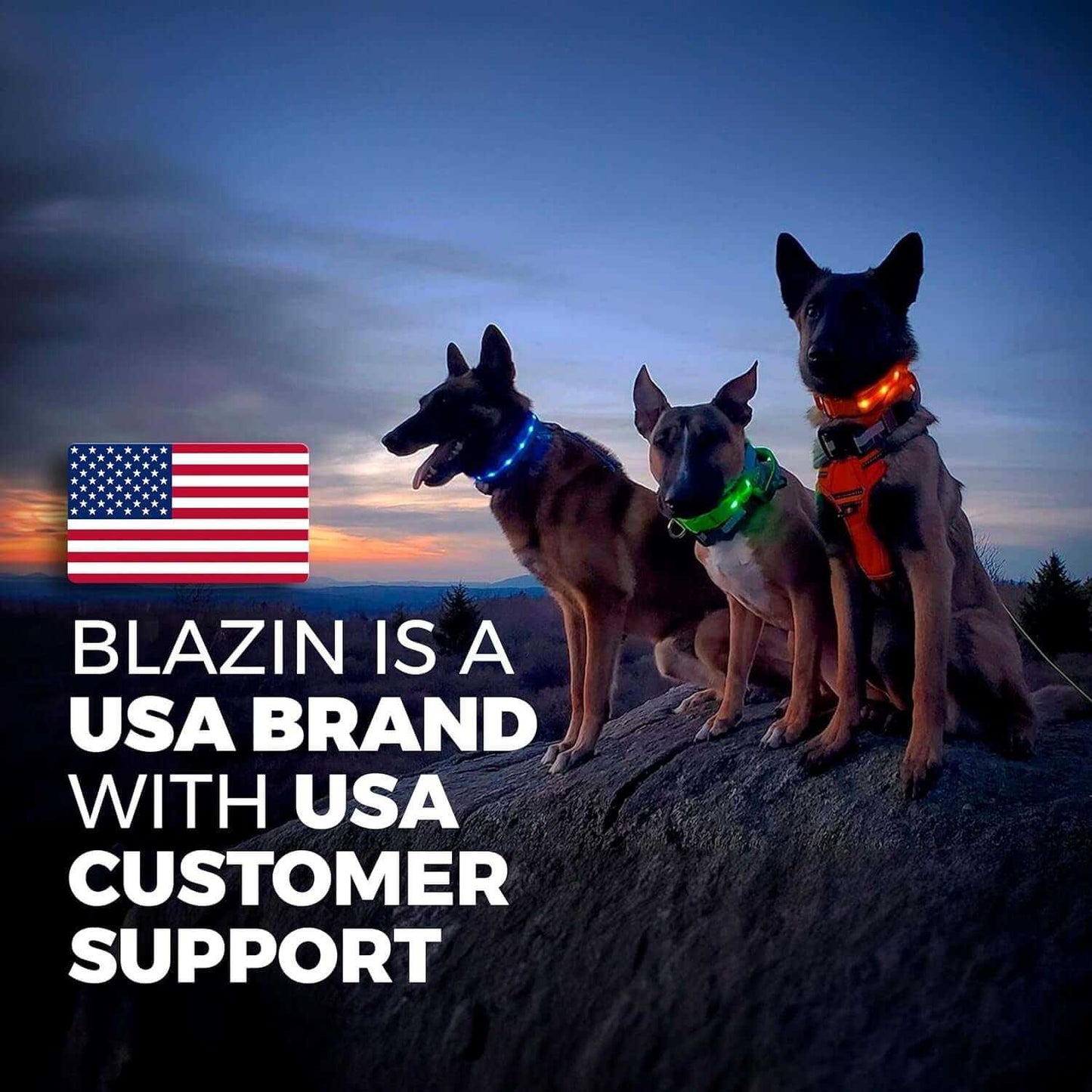 Safety LED Dog Collar - USB Rechargeable Waterproof Light for Night Walks