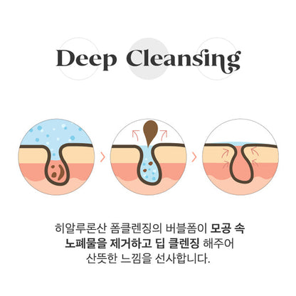 PAUL MEDISON Waterful Foam Cleanser