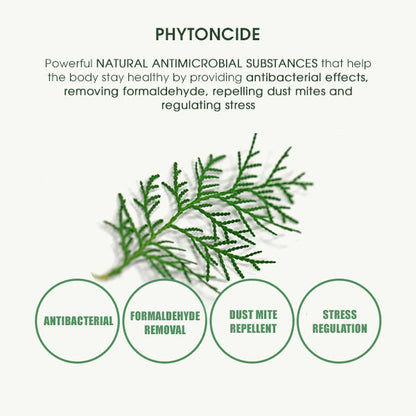 Premium Phytoncide Cervical Support Pillow