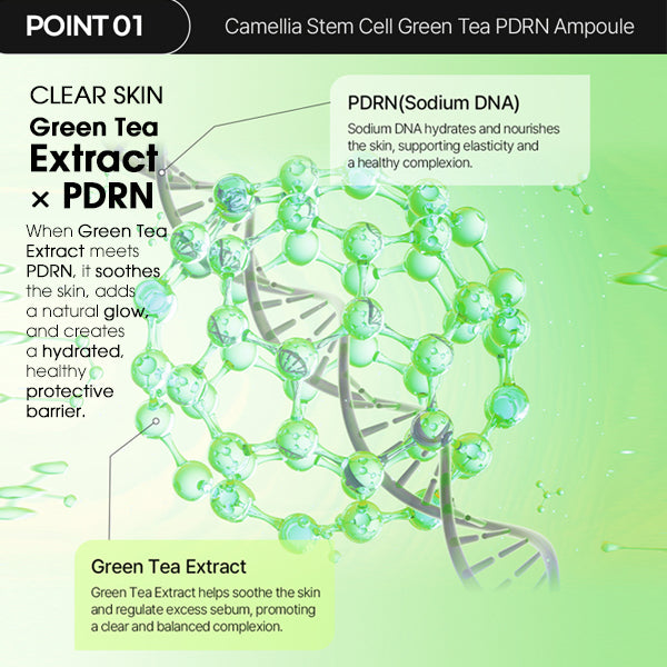 PAUL MEDISON Green Tea PDRN Ampoule