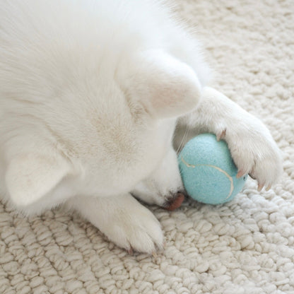 So Fetch! Tennis Ball - Cloud