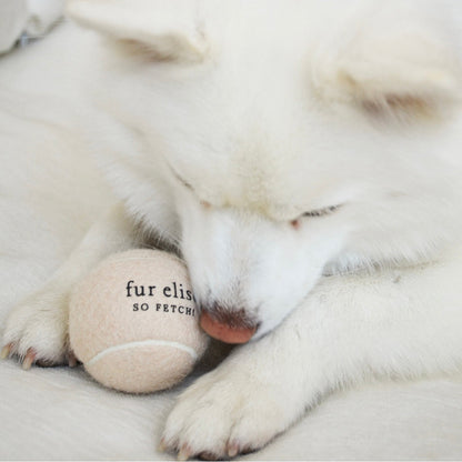 So Fetch! Tennis Ball - Noire