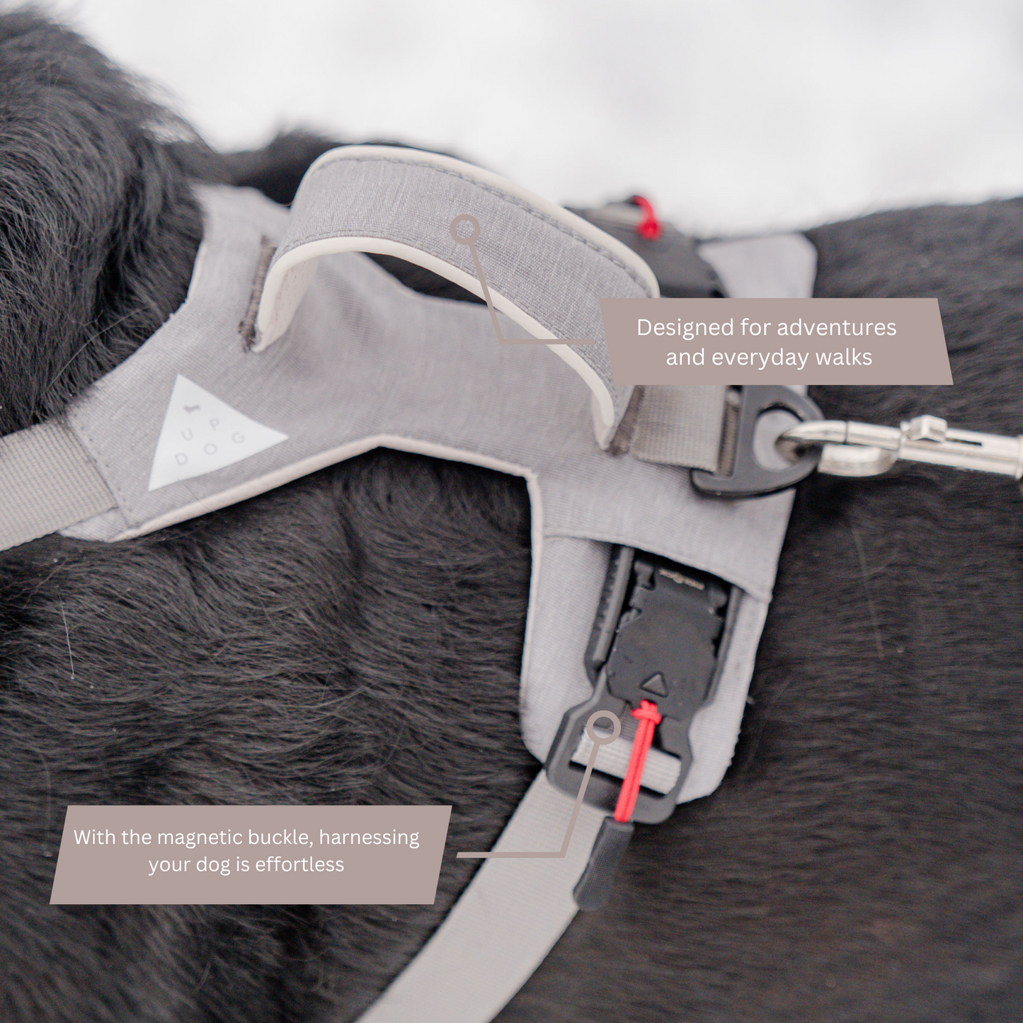 Magnetic Dog Harness - One-Hand Clip, No-Pull Design