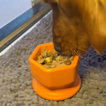 FreezCup - Long-Lasting Chew Fun