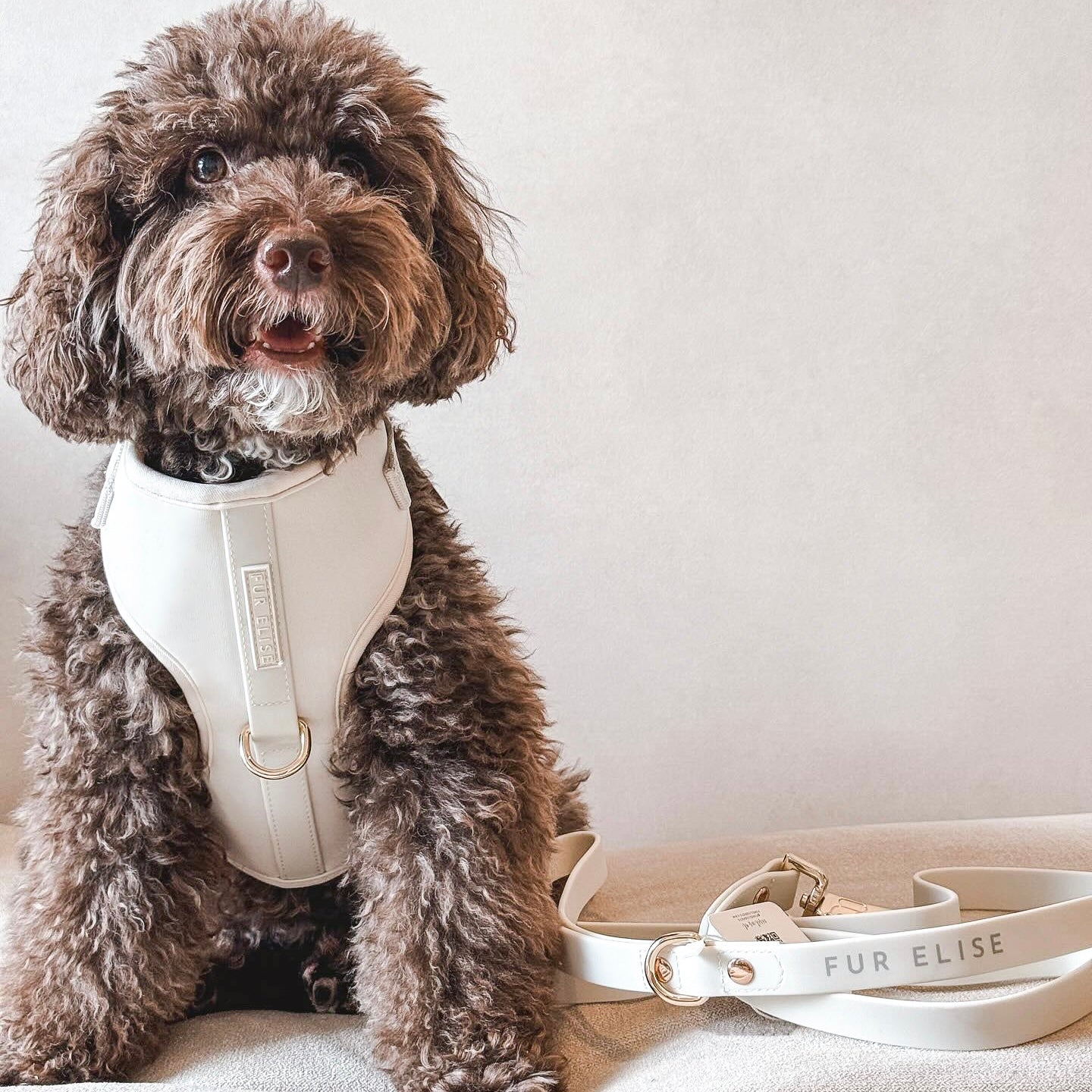 Elise Harness & Leash Set - Bone