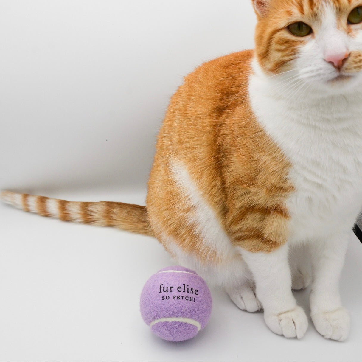 So Fetch! Tennis Ball - Lilac